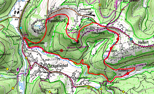 Circuit kuhberg falkenfels 1