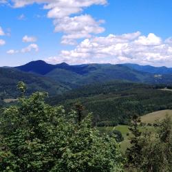 Vue du chateau de salm