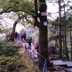 Sur les hauteurs de la cascade